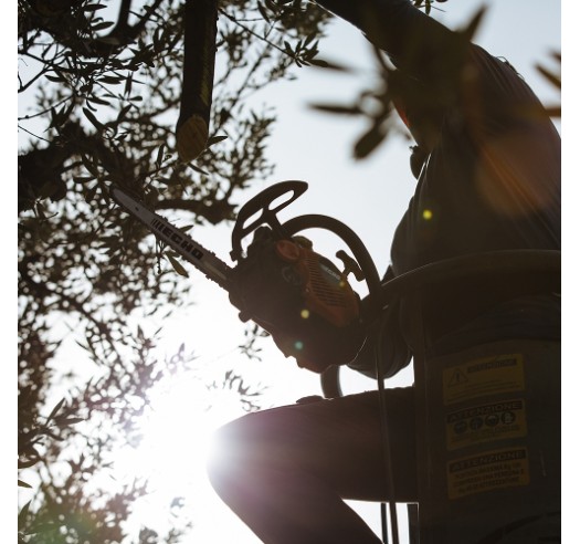 MOTOSIERRA ECHO CS2511 TES/25