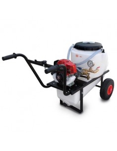 CARRETILLA HONDA CPH 55 2