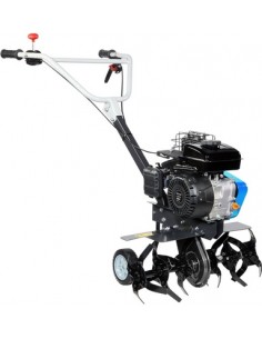 MOTOAZADA BERTOLINI 155 2